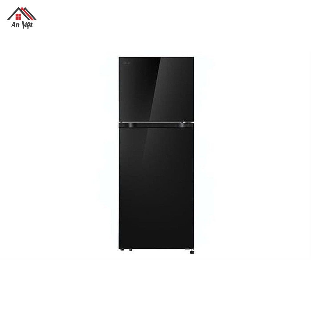 Tủ lạnh LG Inverter 217 lít T21BG