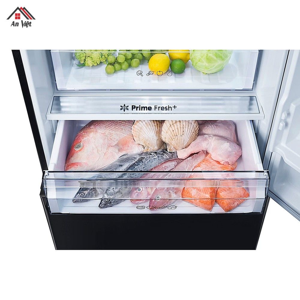 Tủ lạnh ngăn đá dưới Panasonic Inverter 420 lít NR-BX471XGKV - hình 4