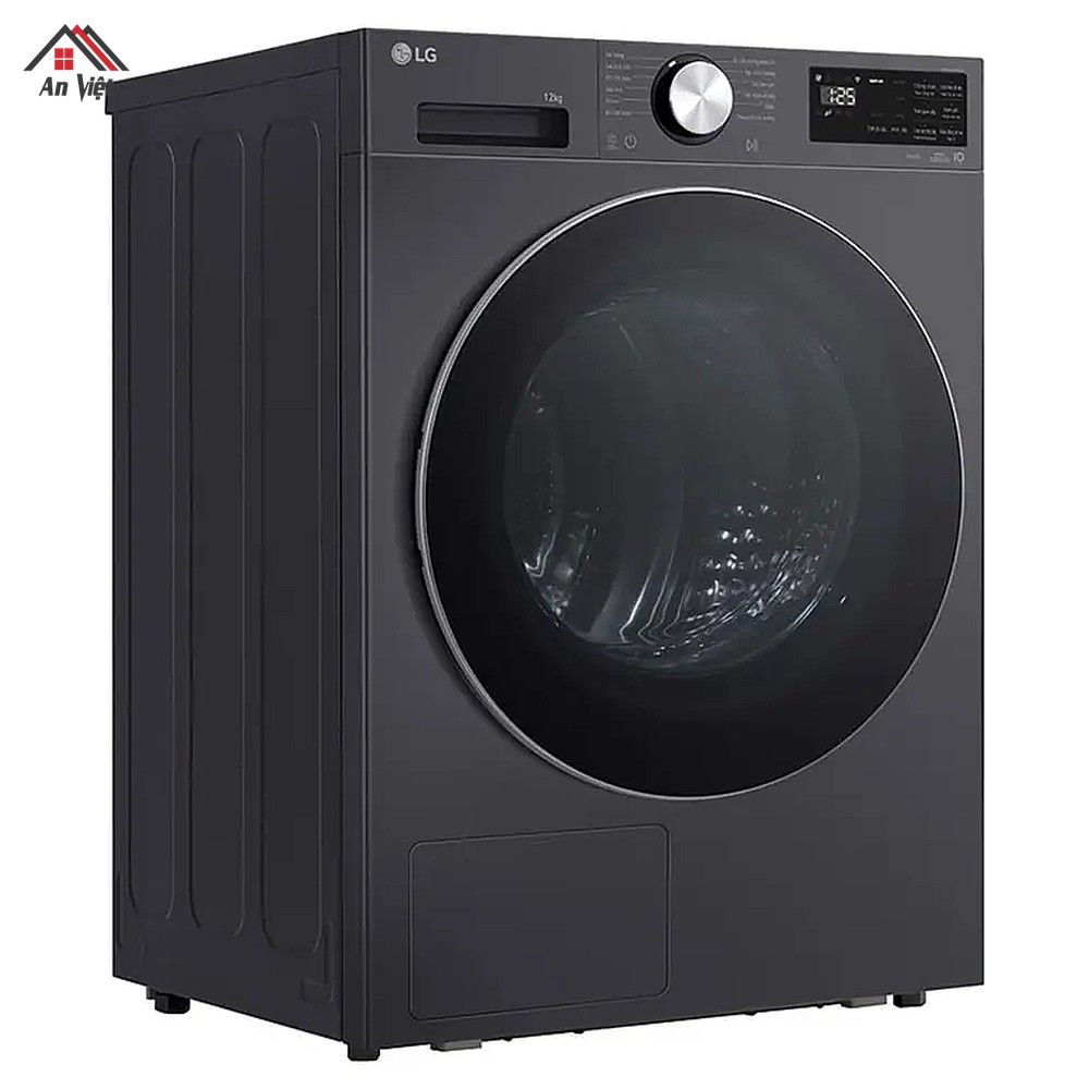 Máy sấy bơm nhiệt LG Inverter 12 kg RX12VHP5G - hình 1