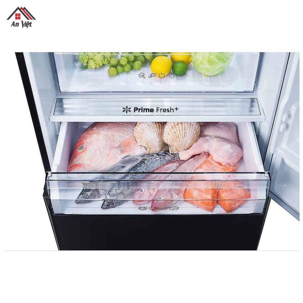 Tủ lạnh ngăn đá dưới Panasonic Inverter 380 lít NR-BX421XGKV - hình 4